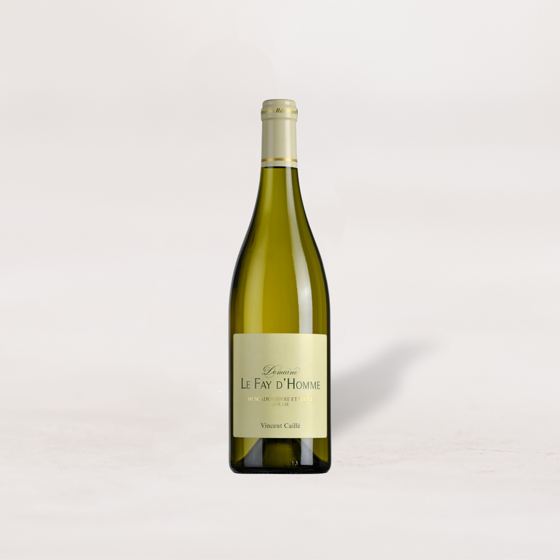 2025 Domaine Le Fay d'Homme, Muscadet Sèvre et Maine Sur Lie