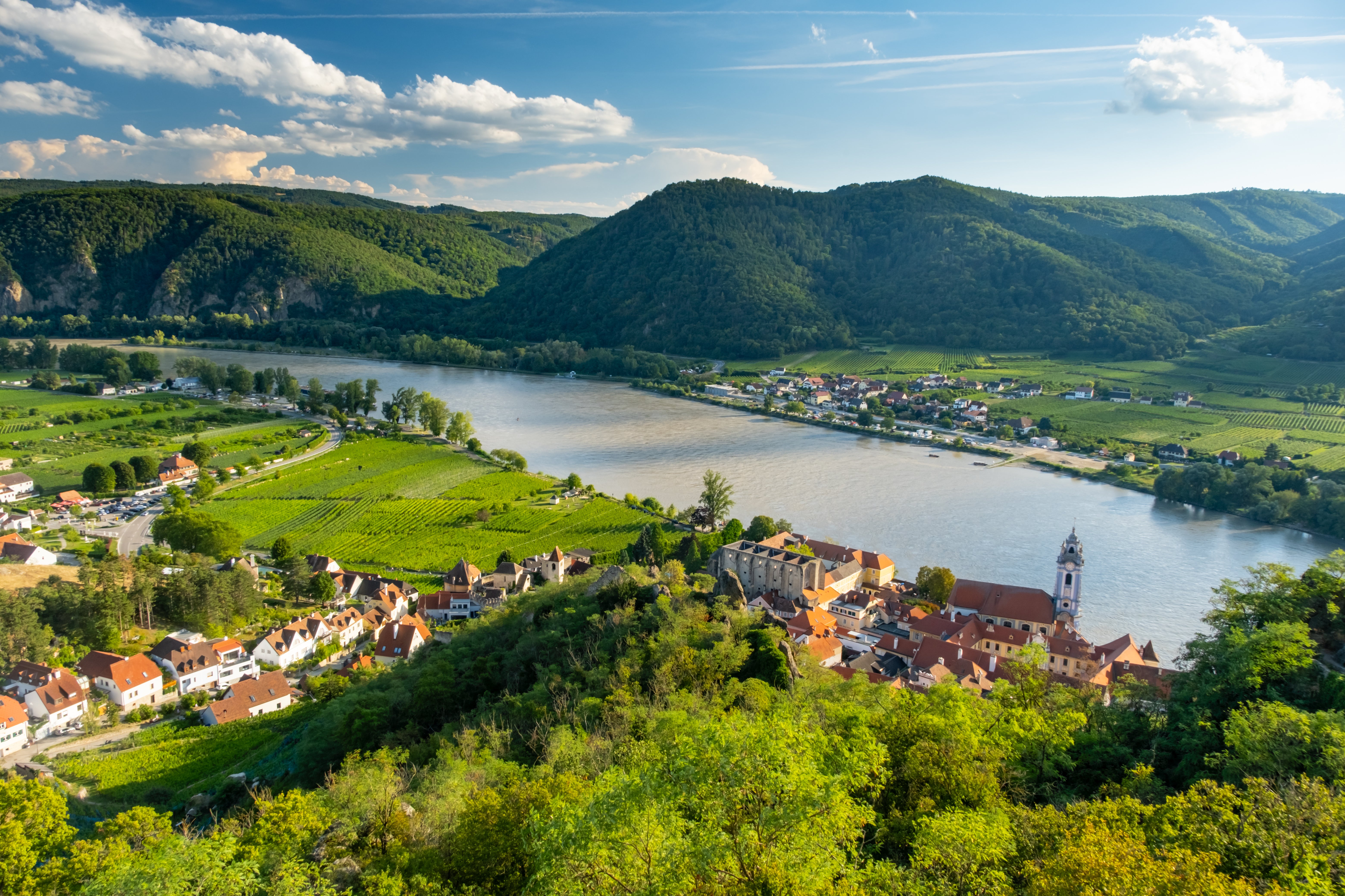 The Explore 4: Wines of Austria
