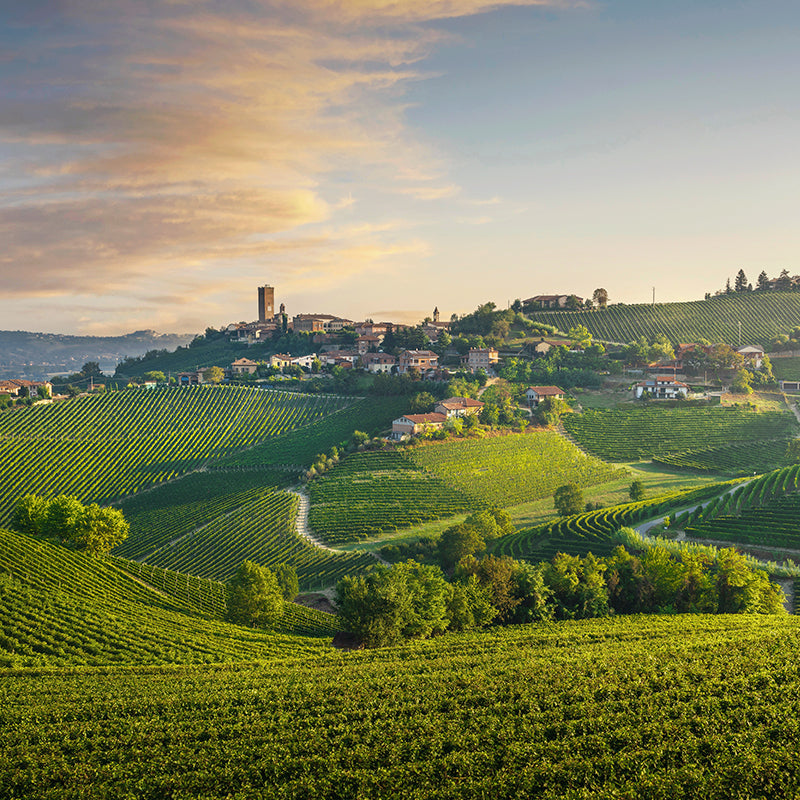 Barbaresco, Piedmont