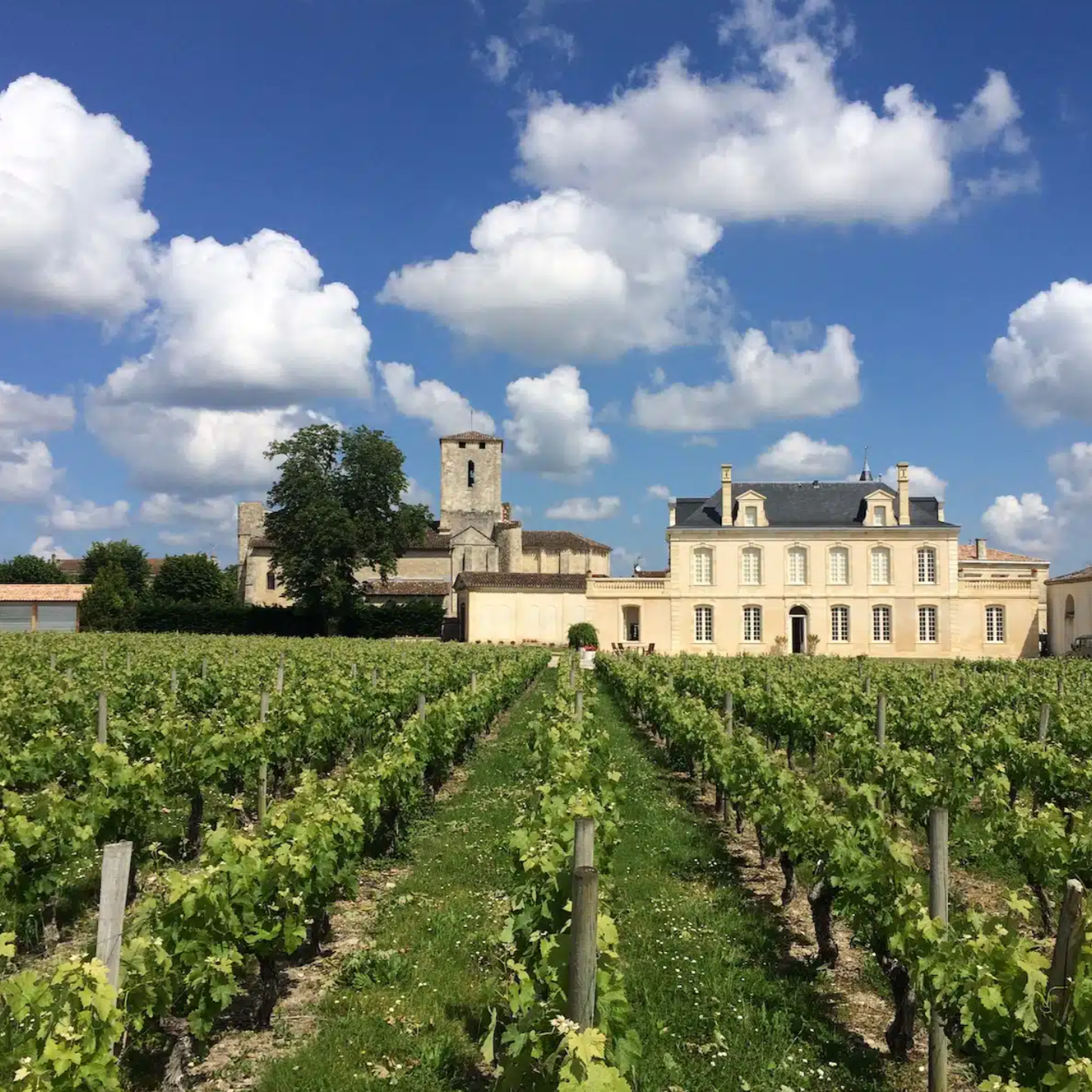 Chateau in Bordeaux France with vinyard