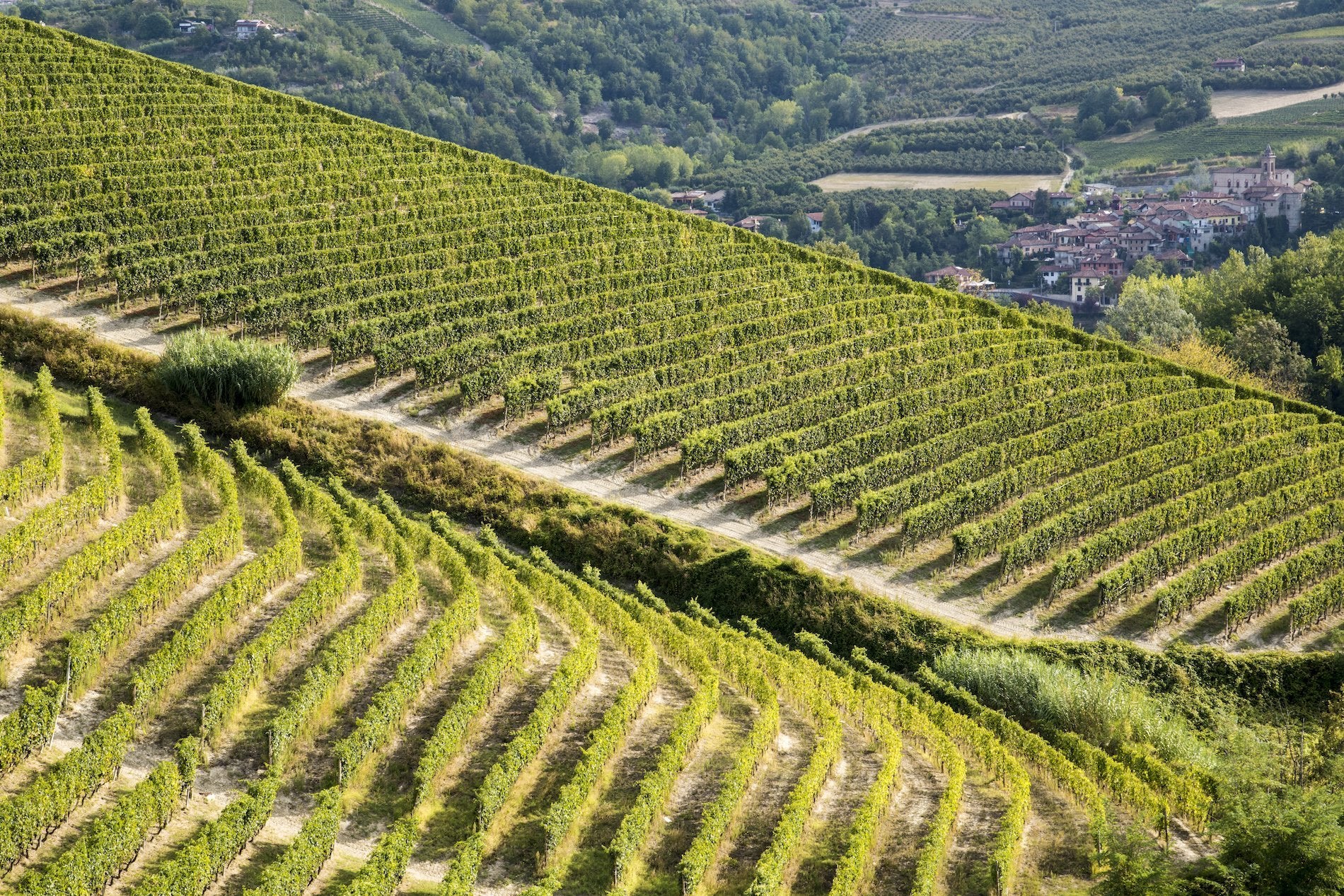 2021 Bruna Grimaldi, Barolo "Bricco Ambrogio"