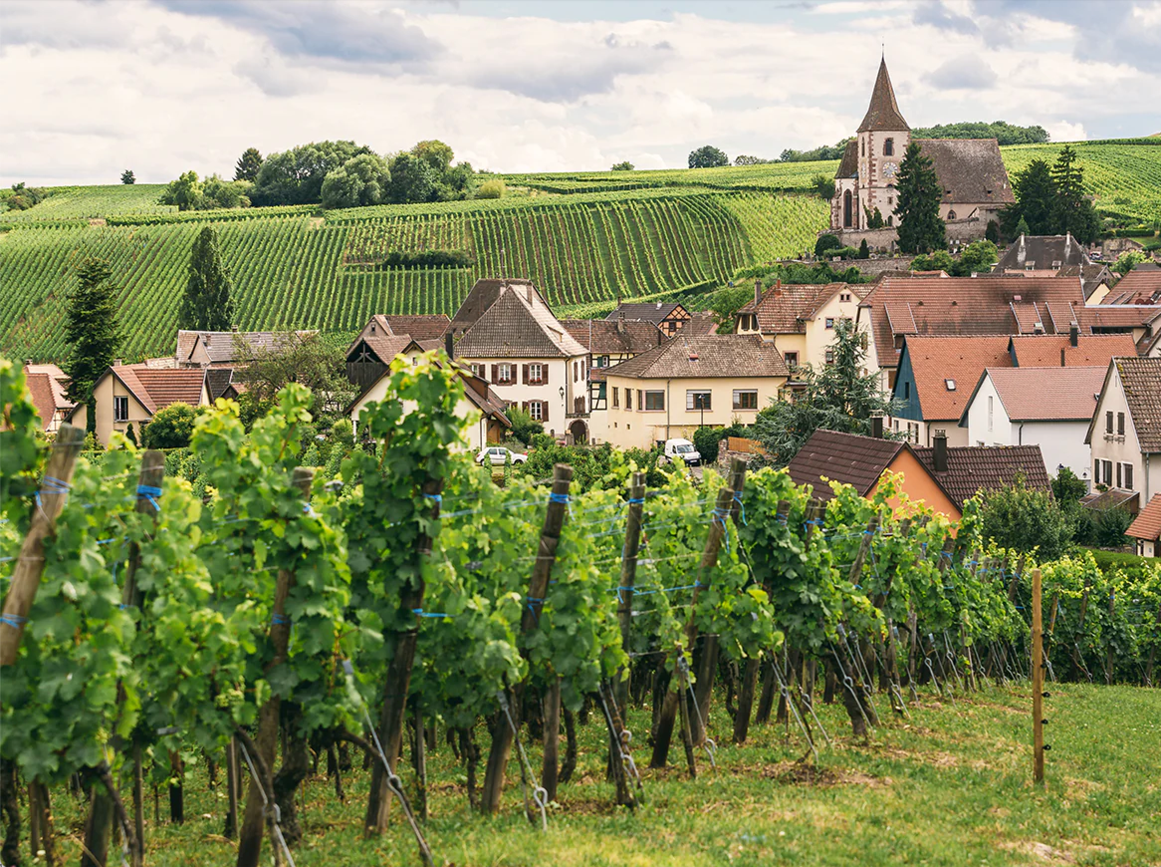 Winery in Burgundy.  Vinyard and village