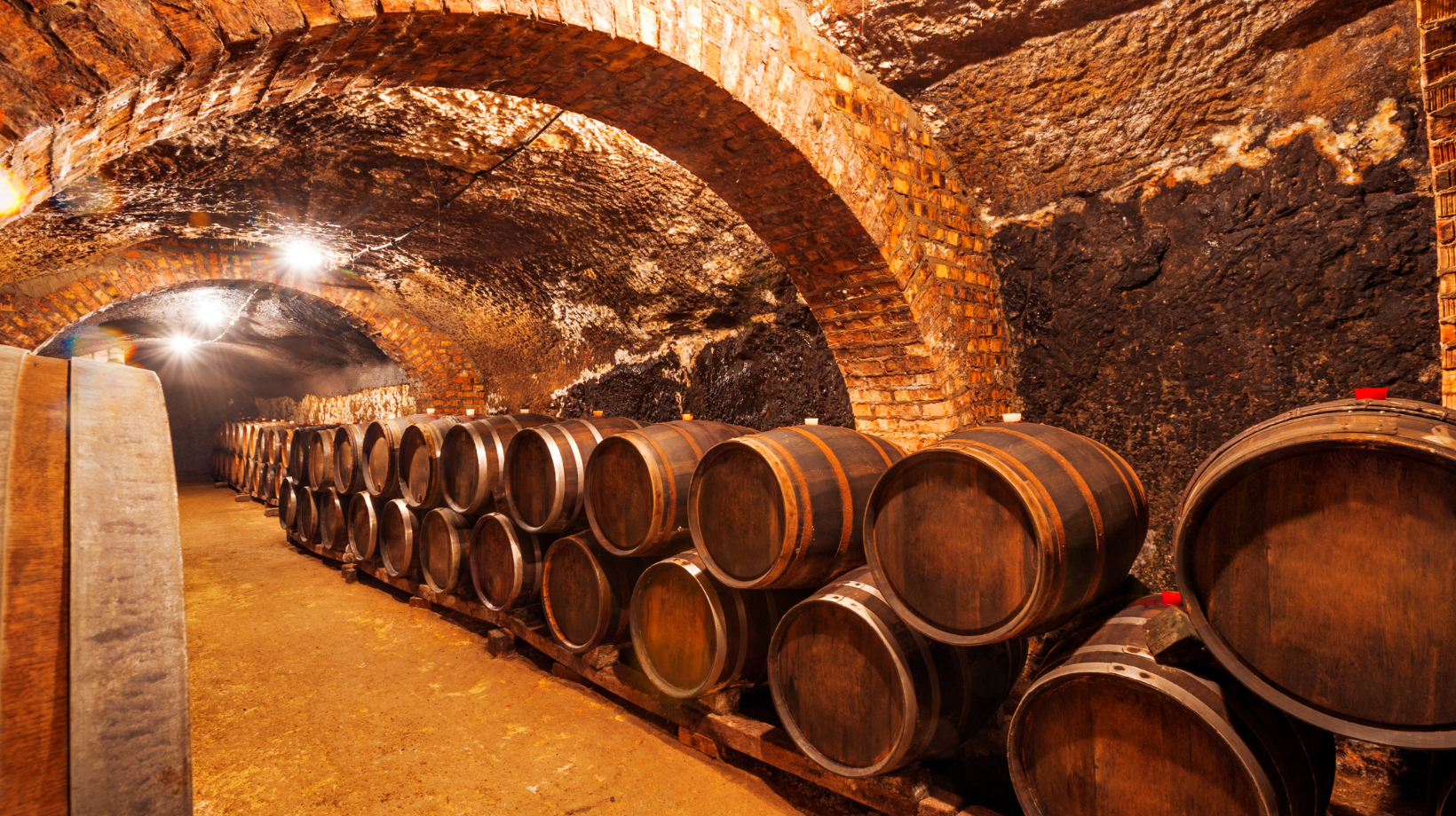 Rioja Library Cellar
