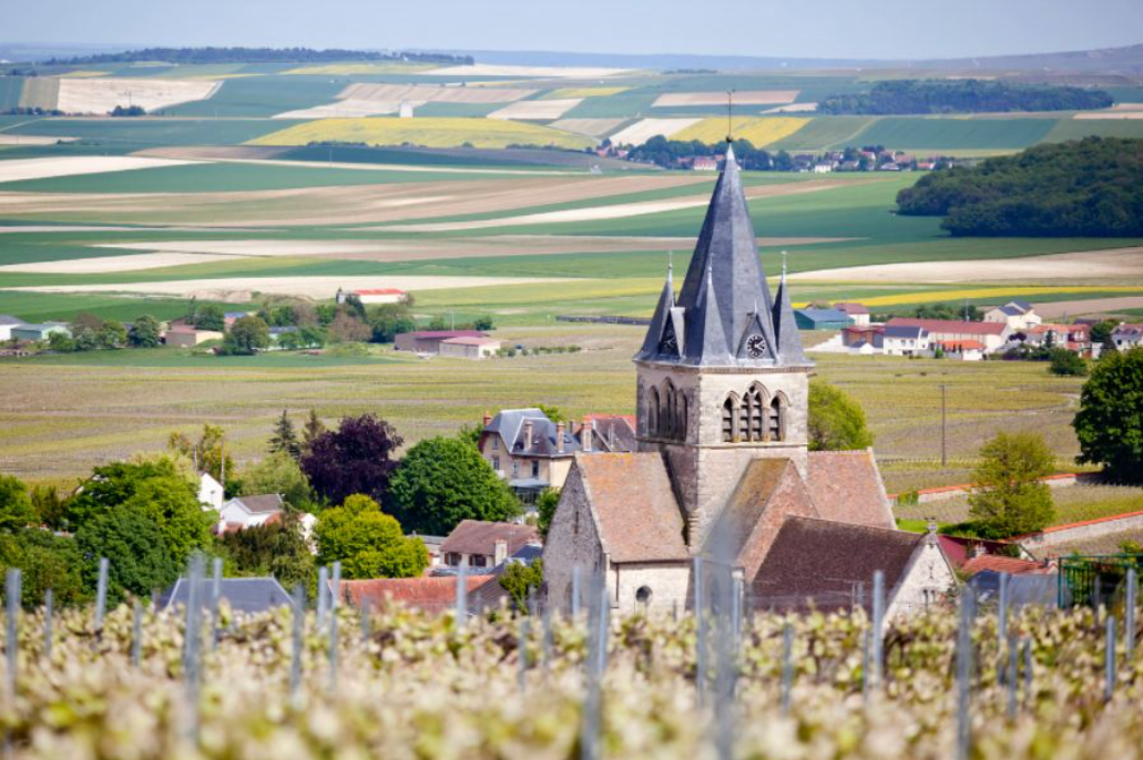 Church and vineyards in in foreground. Fields and villages in the distance