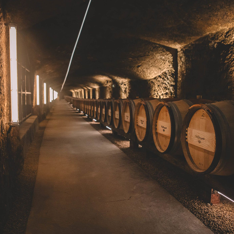 Clos Rougeard