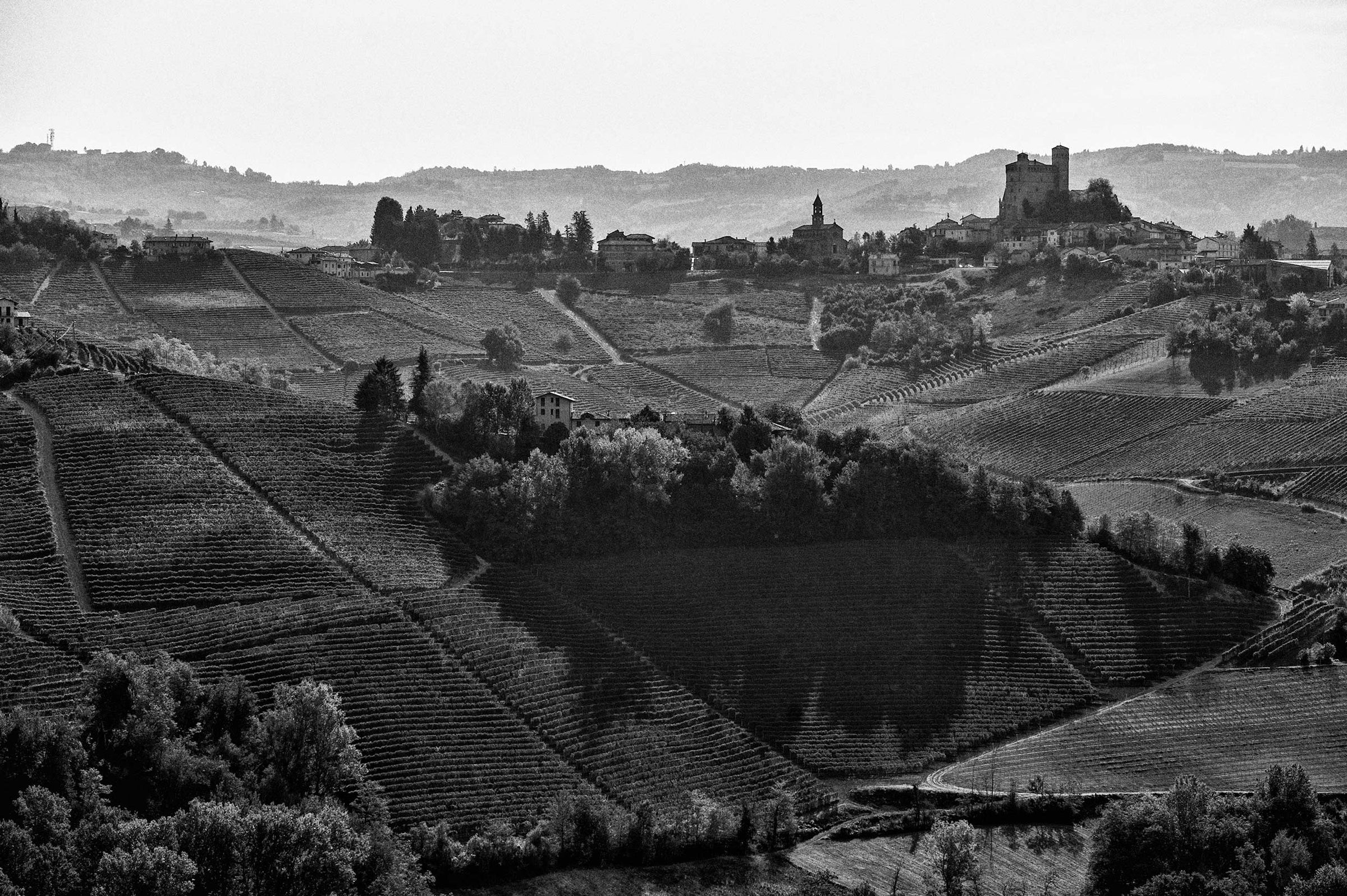 Piedmont Wine Collection