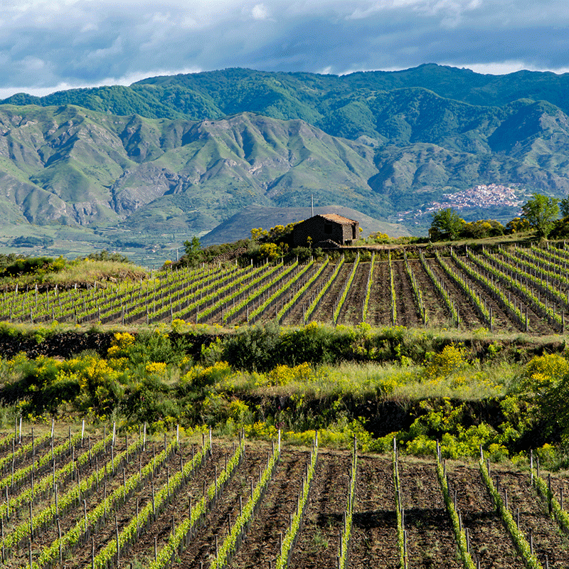 Mount Etna, Sicily