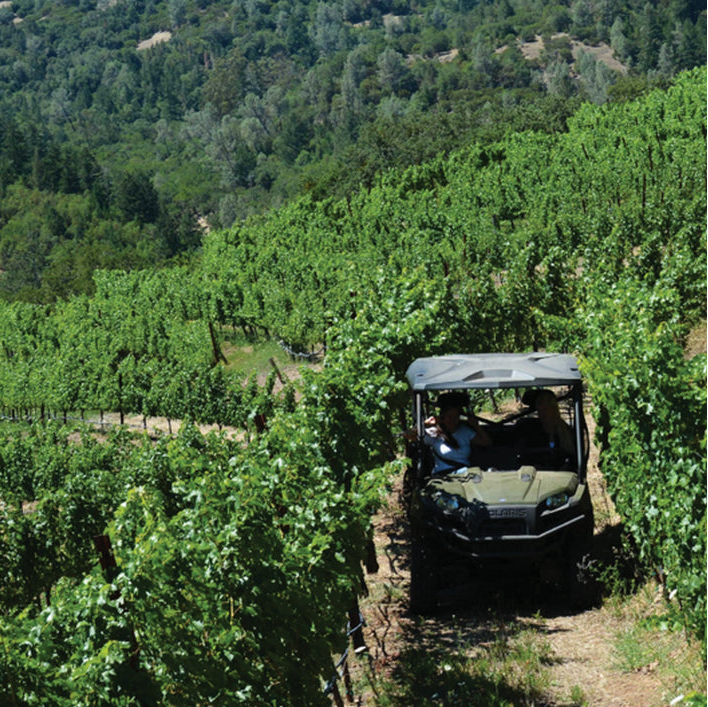 Off The Beaten Path Wines In The Vineyard