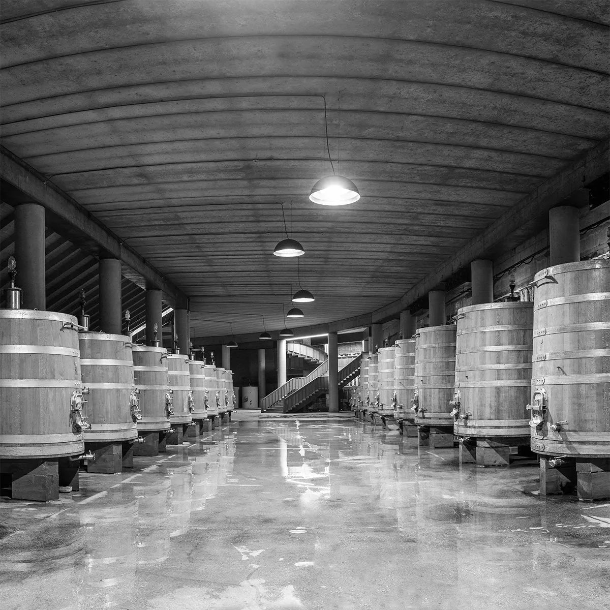 Roagna Barrel Room
