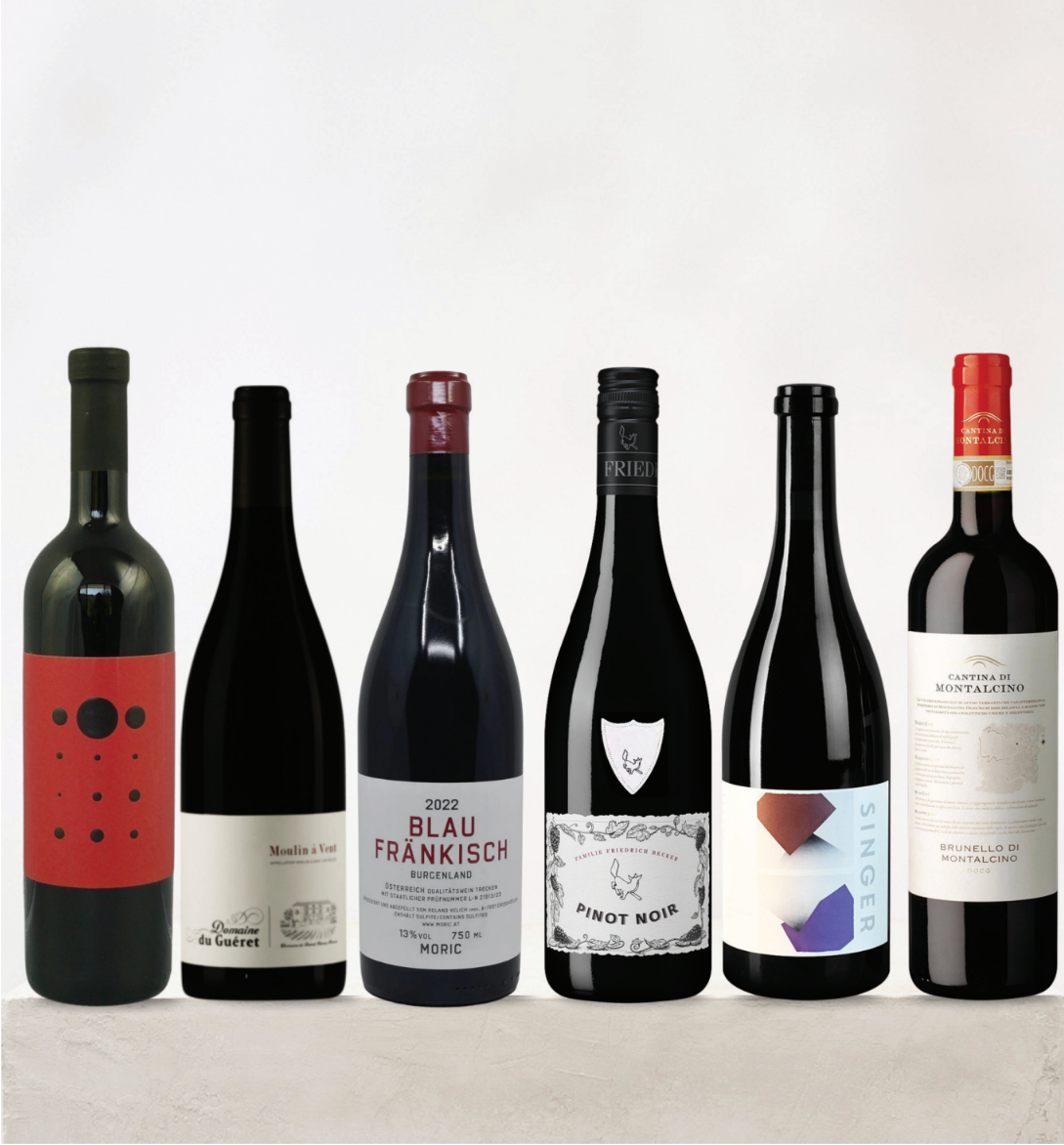 Collection of wine bottles with various labels on a white background