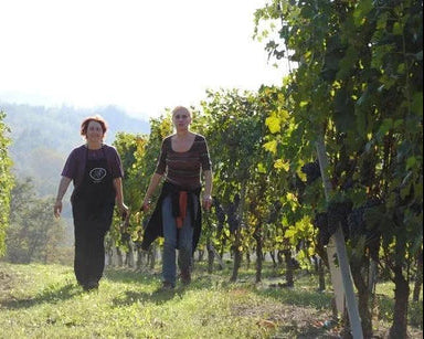 Two people walking through a vineyard with grapevines on either side.