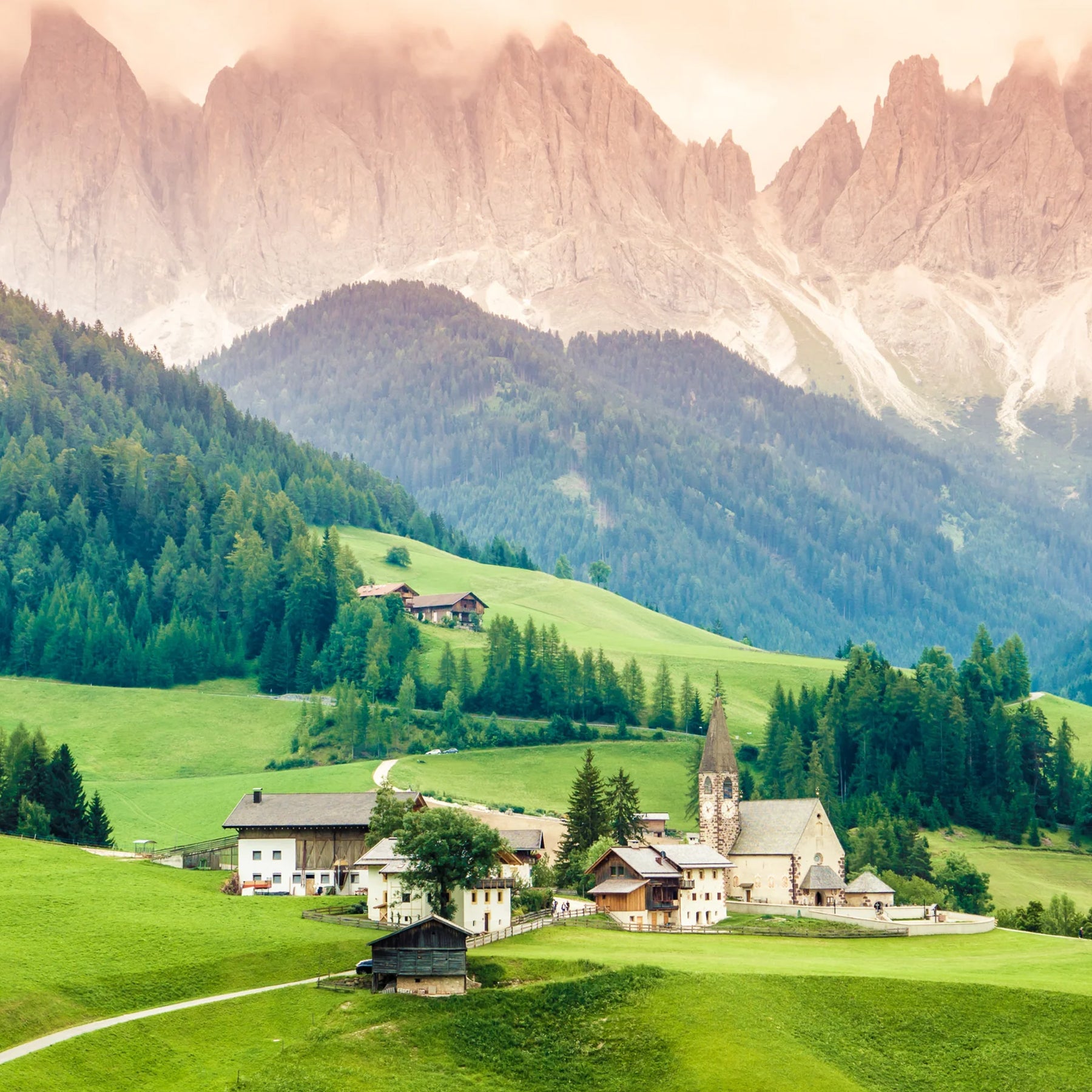 The Explore 4 Wine Club- Alpine Wines