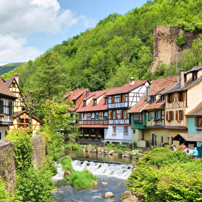 Alsace France Wine Collection