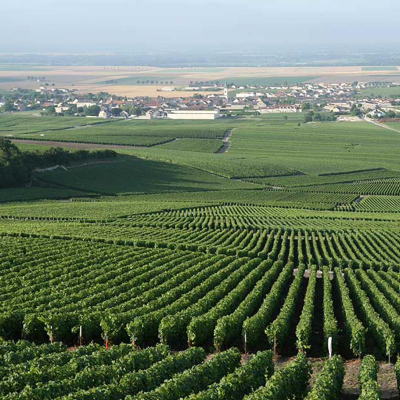 Andre Clouet Library