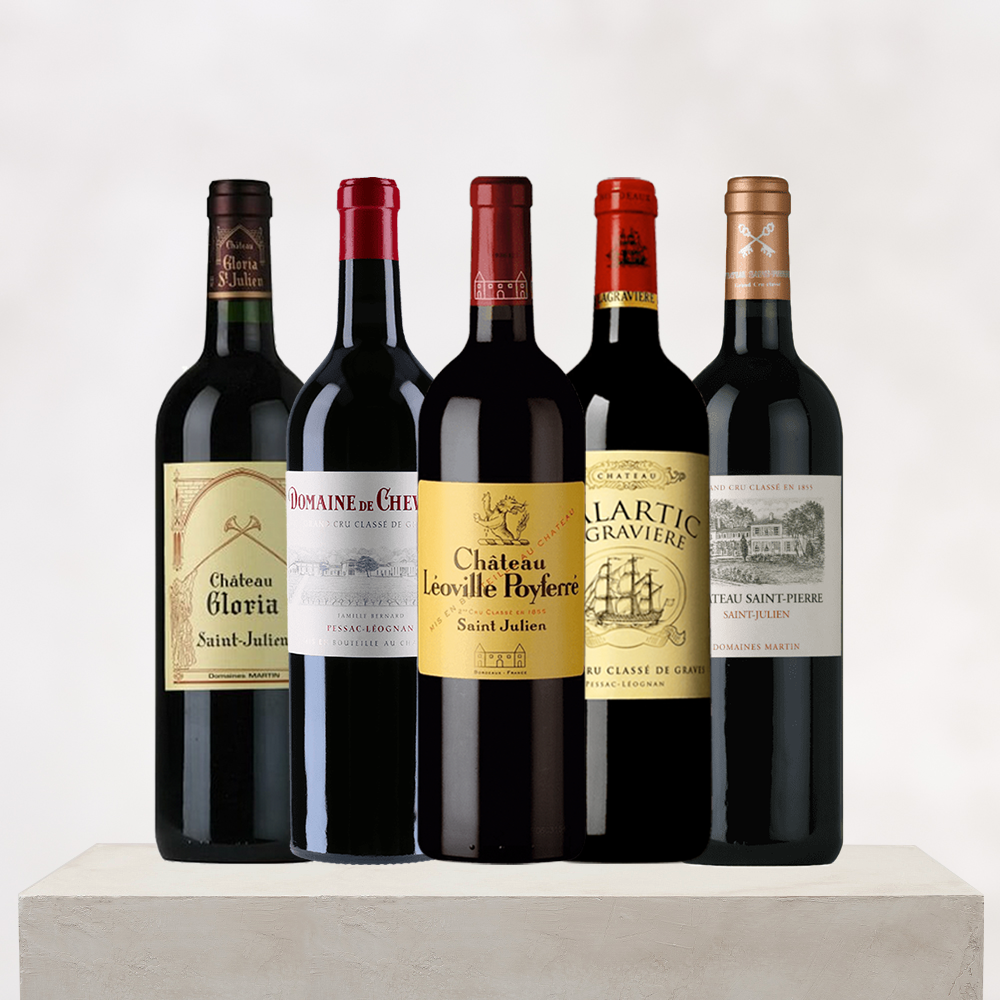 2016 Bordeaux Left Bank 6-Bottle Wine Pack