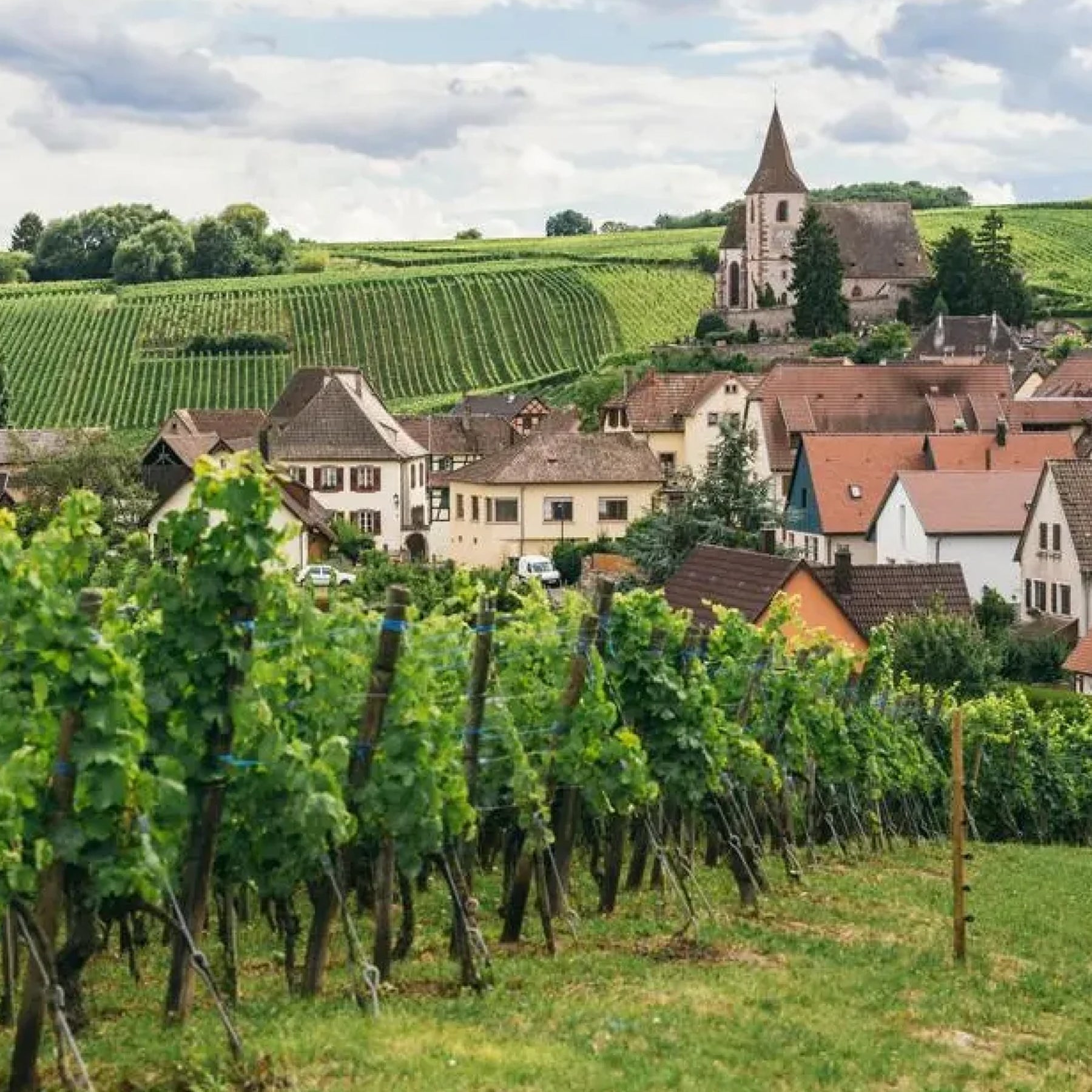 The Explore 4 - Burgundy Basics