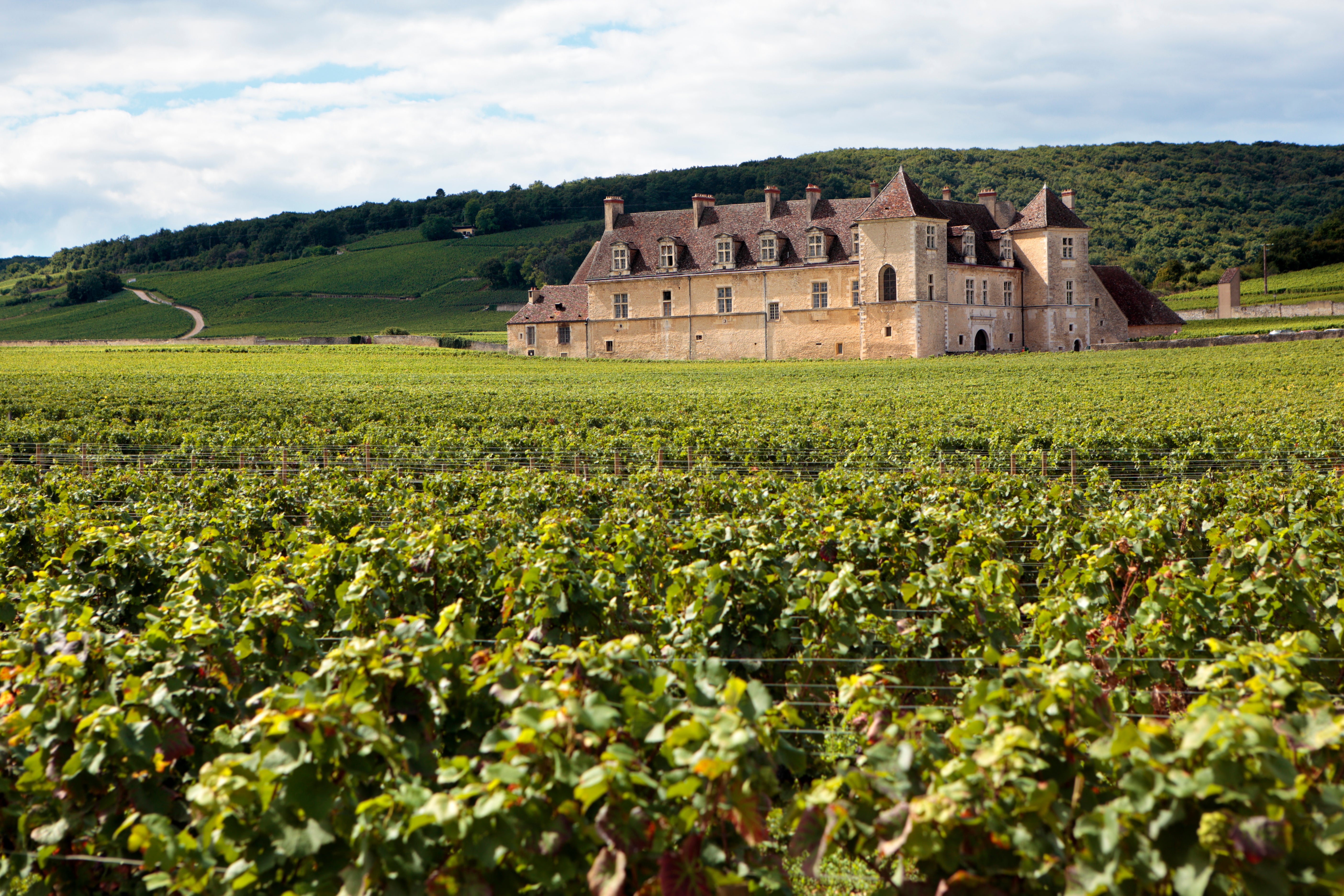 The Sommelier's 3 French Essentials