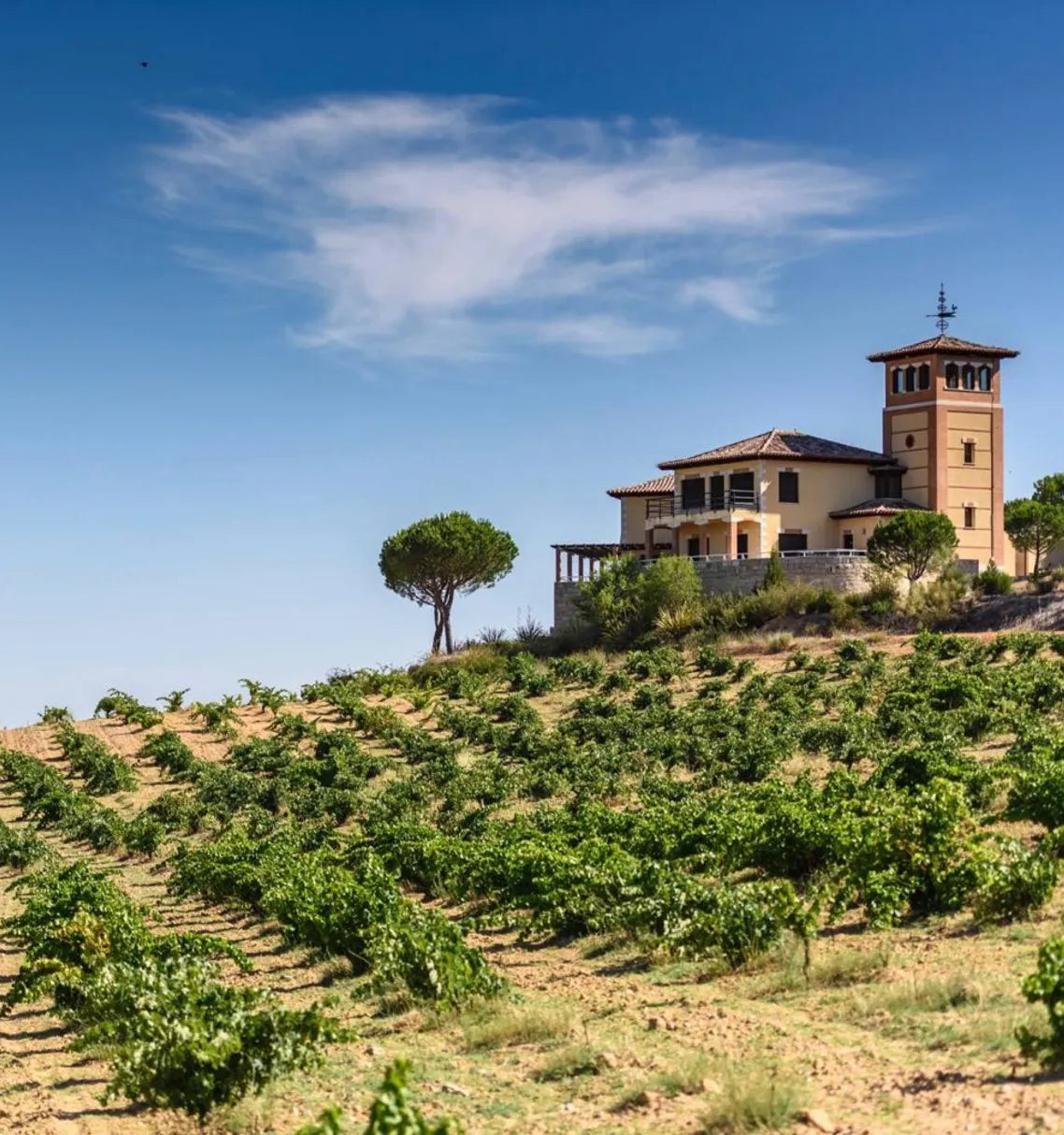 Master Somm Selection: The Iberian Essentials