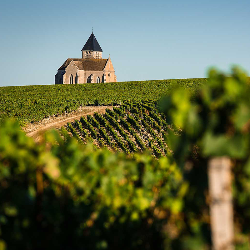 Guy Robin Chablis Wine