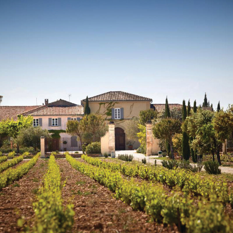 chateau beaucastel vineyards