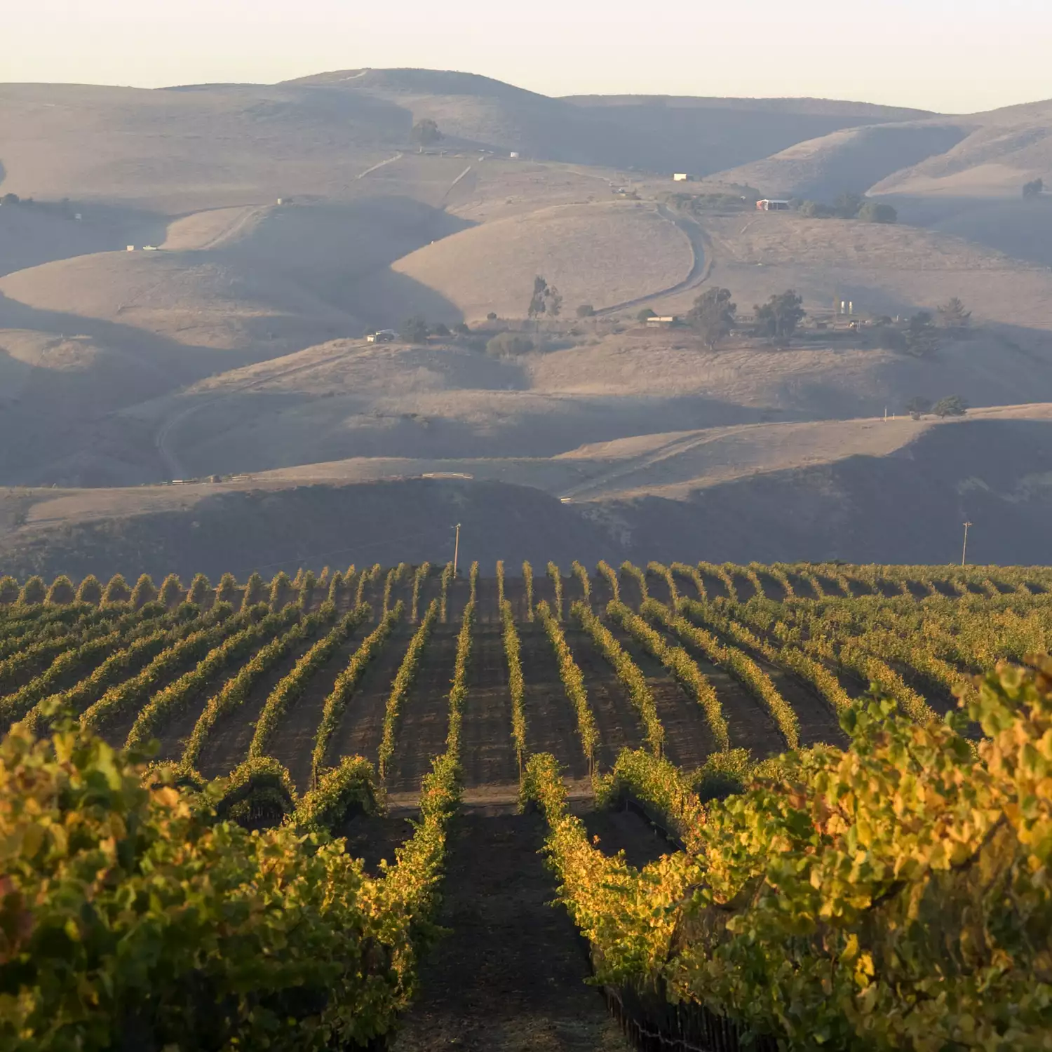 The New Frontier Wine Pack