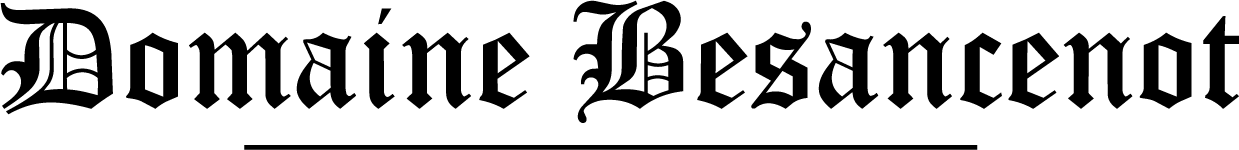 Domaine Besancenot Logo