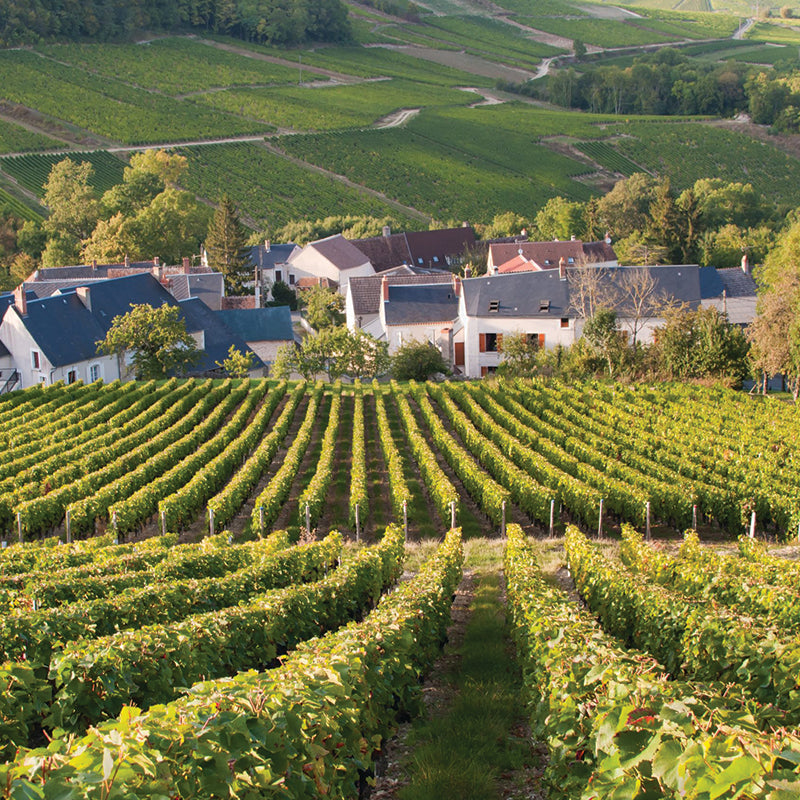 domaine vacheron sancerre sauvignon blanc