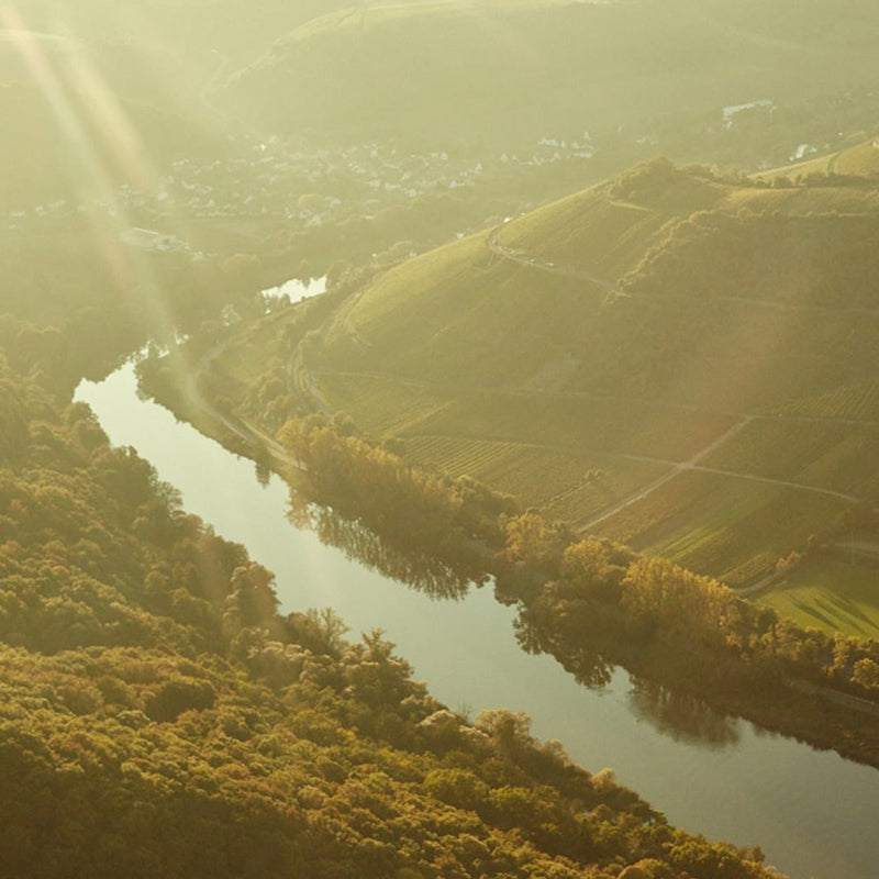 Donhoff - Mosel Germany