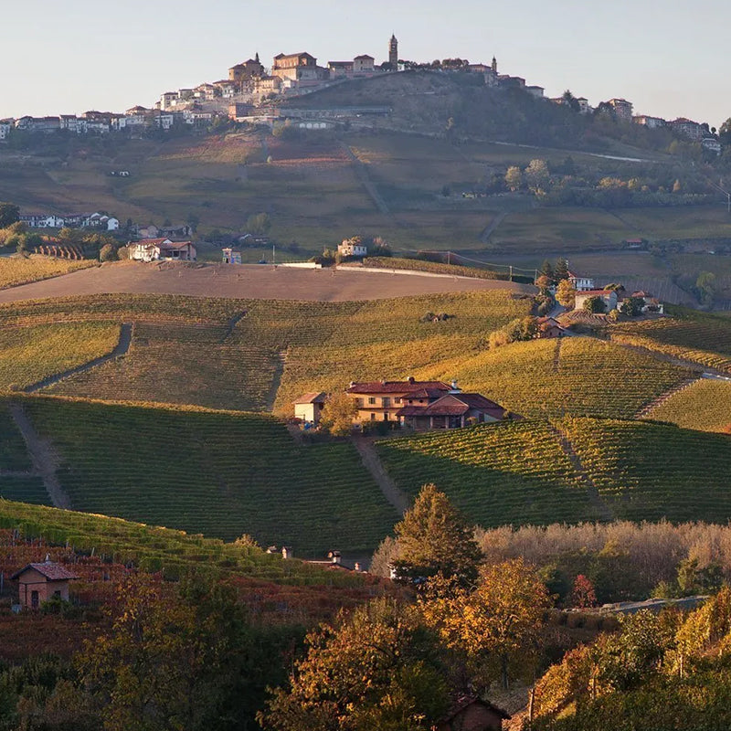 francesco_rinaldi