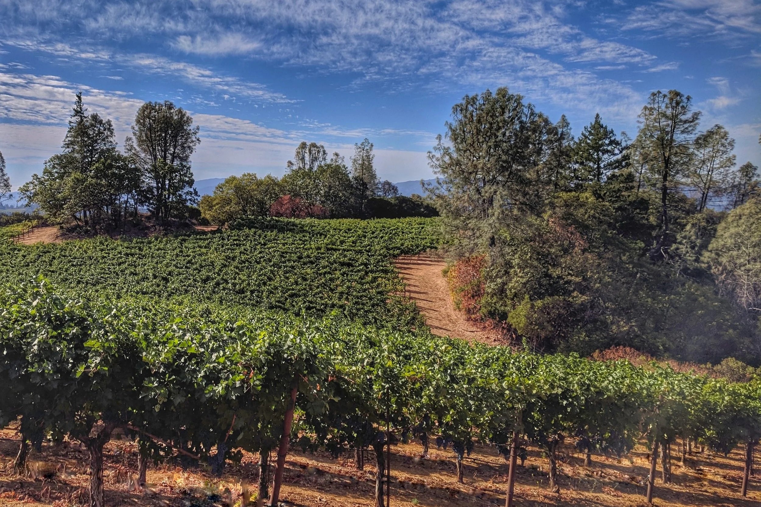 2023 Pilcrow, Cabernet Sauvignon "Granite Lake", Howell Mountain