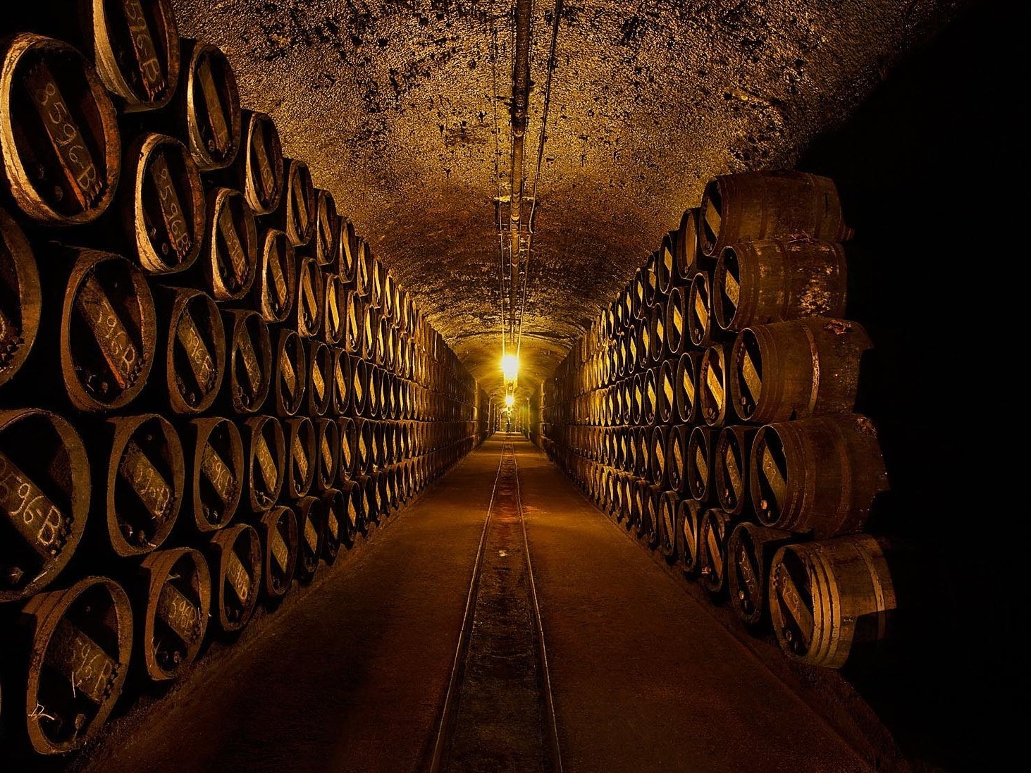 Vintage Cellar Wine Collection