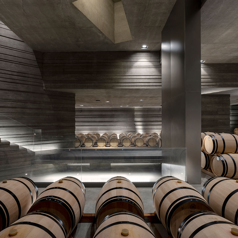 Masseto Wine Cellar