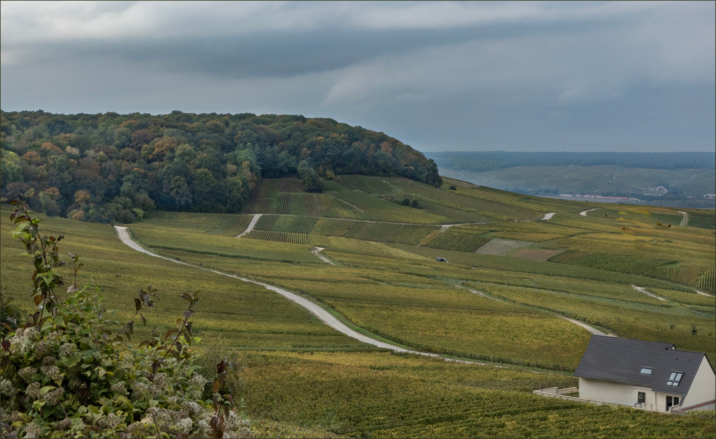 Le Mesnil - Champagne Region