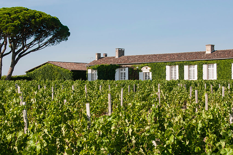 Chateau Meyney
