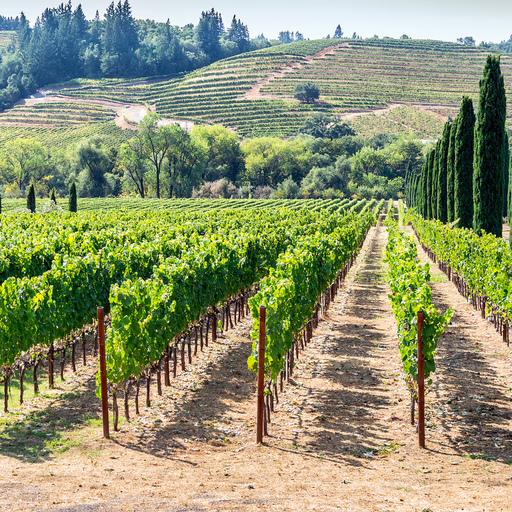 Napa Valley Wine Collection