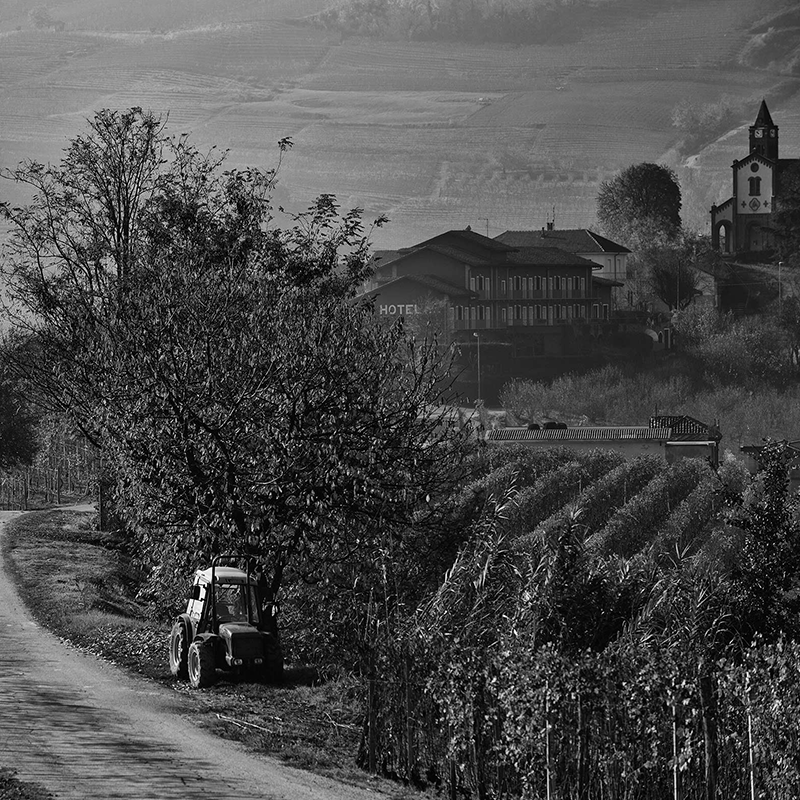 Figli Luigi Oddero