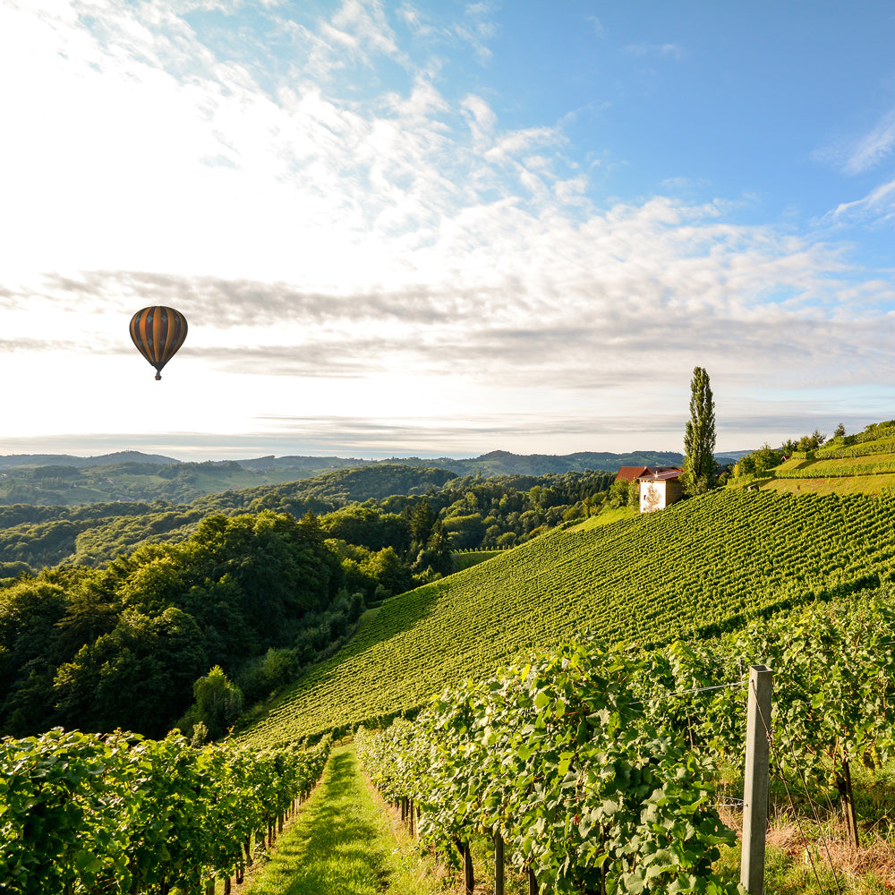 Rhone Valley Vineyards