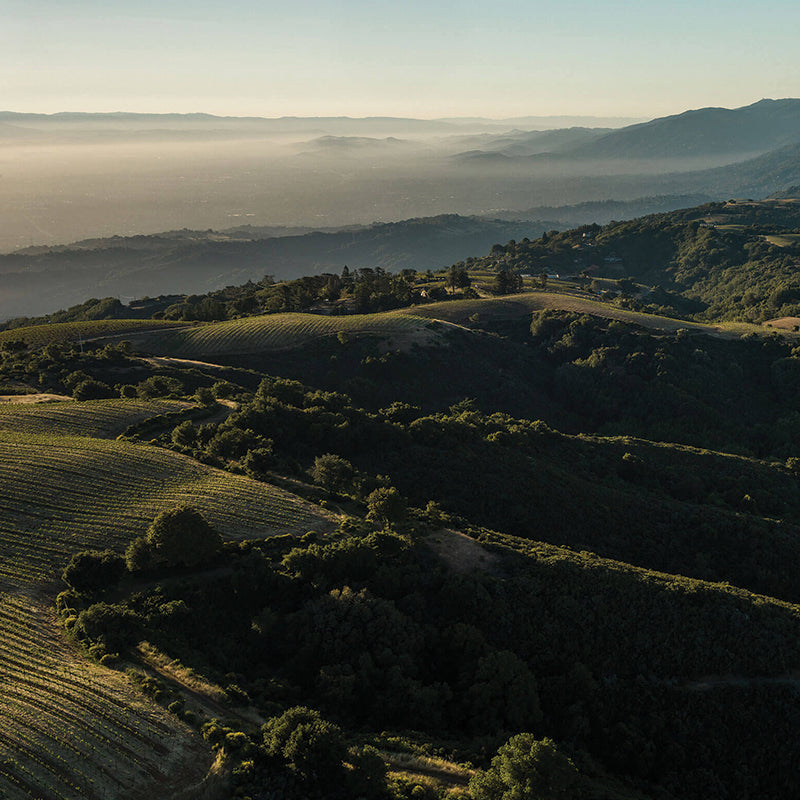 Ridge Vineyards - Wine Collection