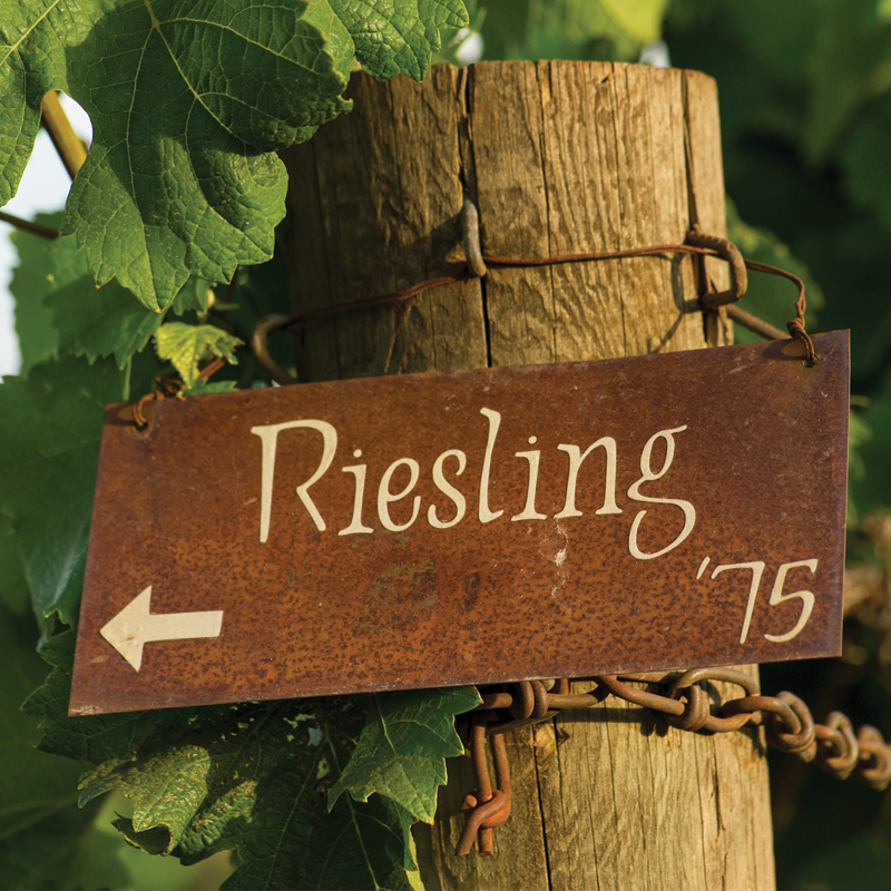 Riesling Wine Collection
