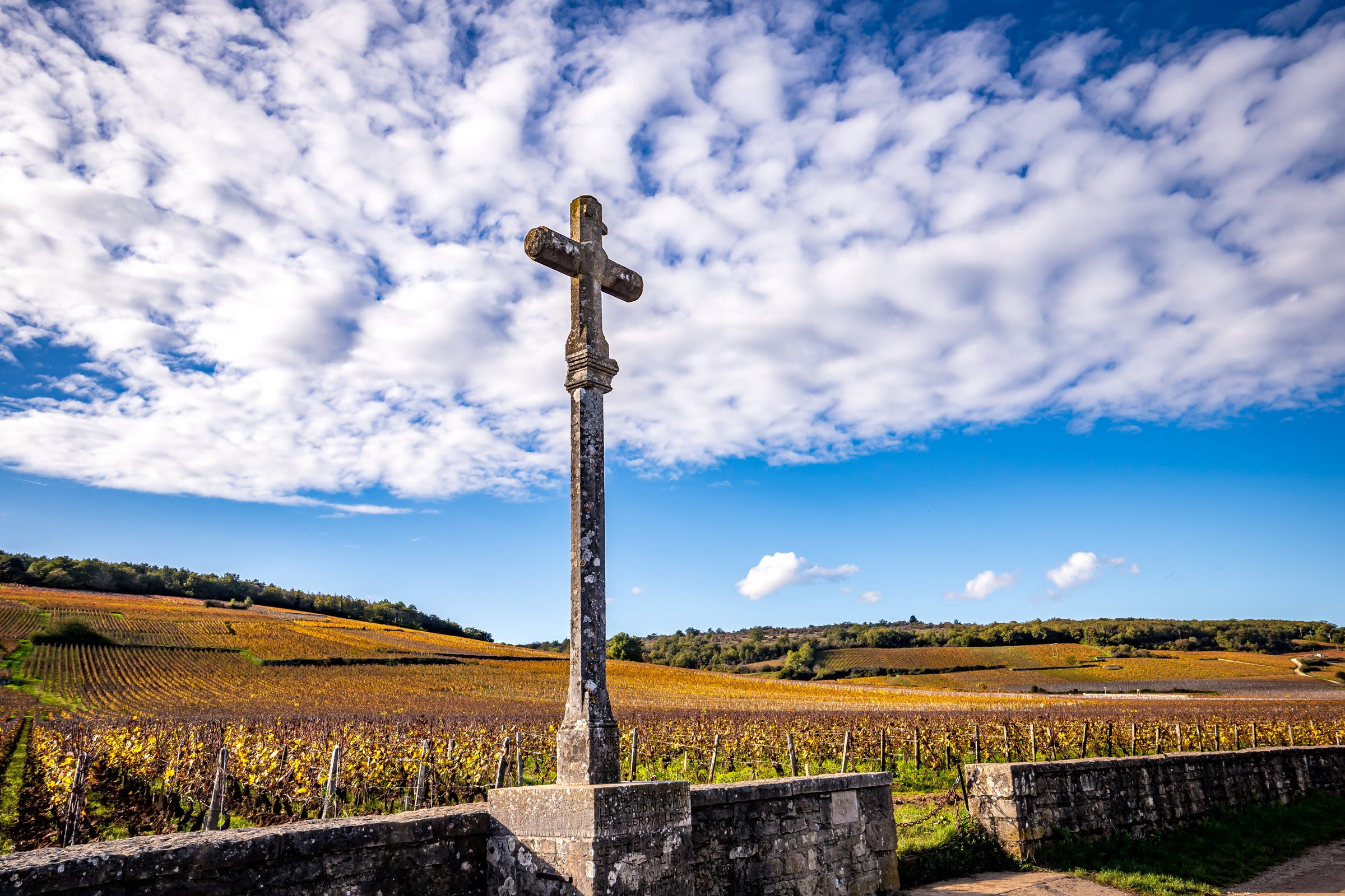 Grand Cru Vineyards of Burgundy