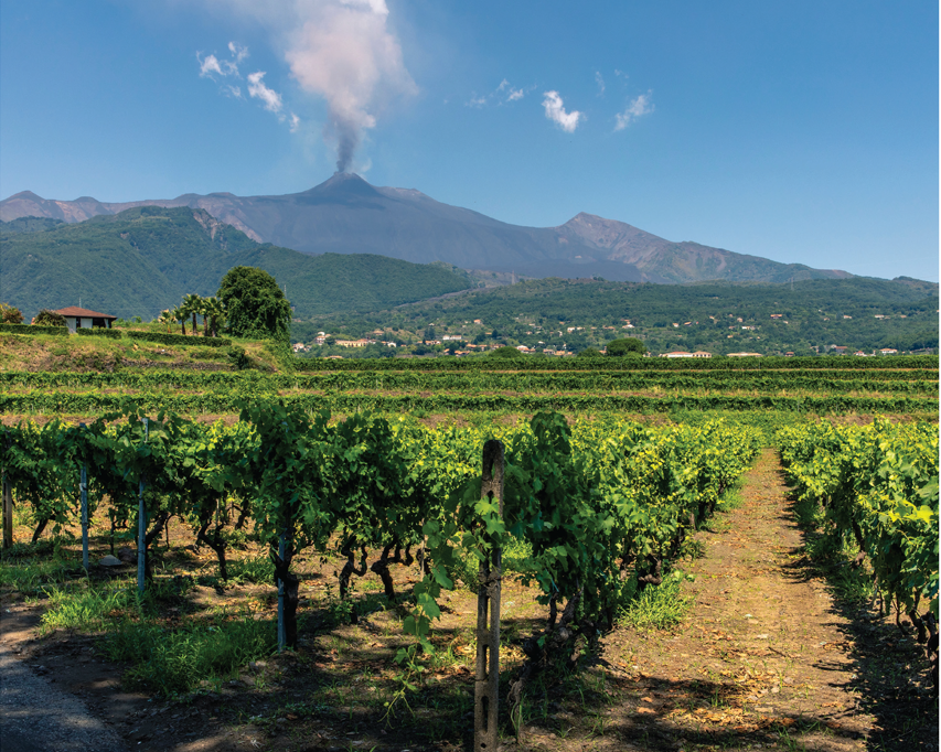 Vineyard with a volcano in the background on a magazine cover titled 'Volcanic Island Wines'.