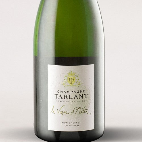 Champagne Tarlant, “La Vigne d’Antan” Non Greffée Chardonnay